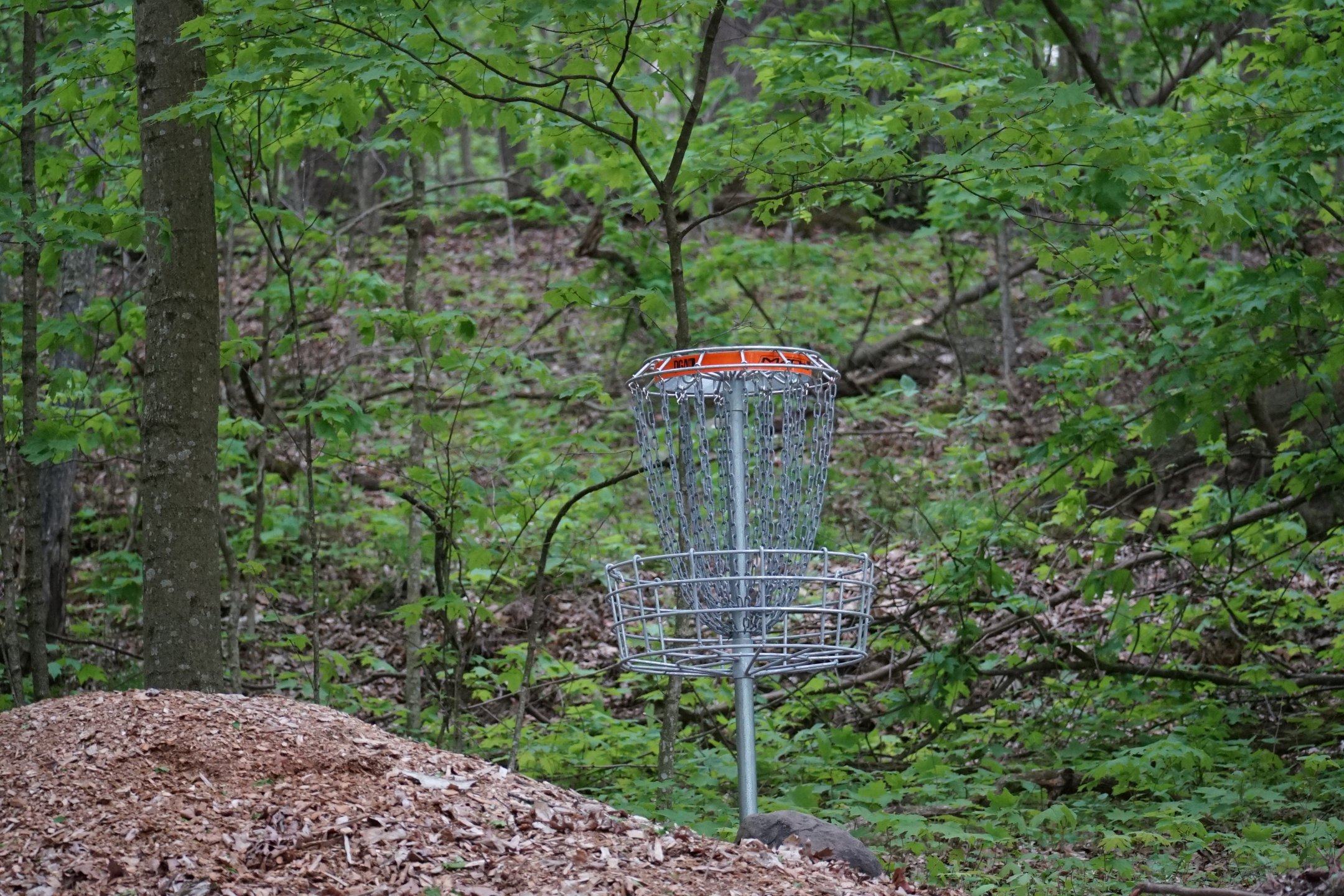 Woodpecker Alley At Alpine Valley