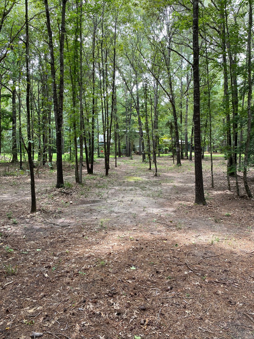 Middle of the fairway 