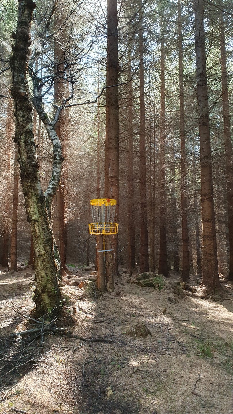 Hole #16 - Ace Outback