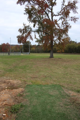 Mando right side of the light pole. Anything left of the fence is OB. Fence plays down the left side of the entire hole. Basket is behind and left of the large green tree pictured. Walking path on the right side of the hole and beyond is OB.