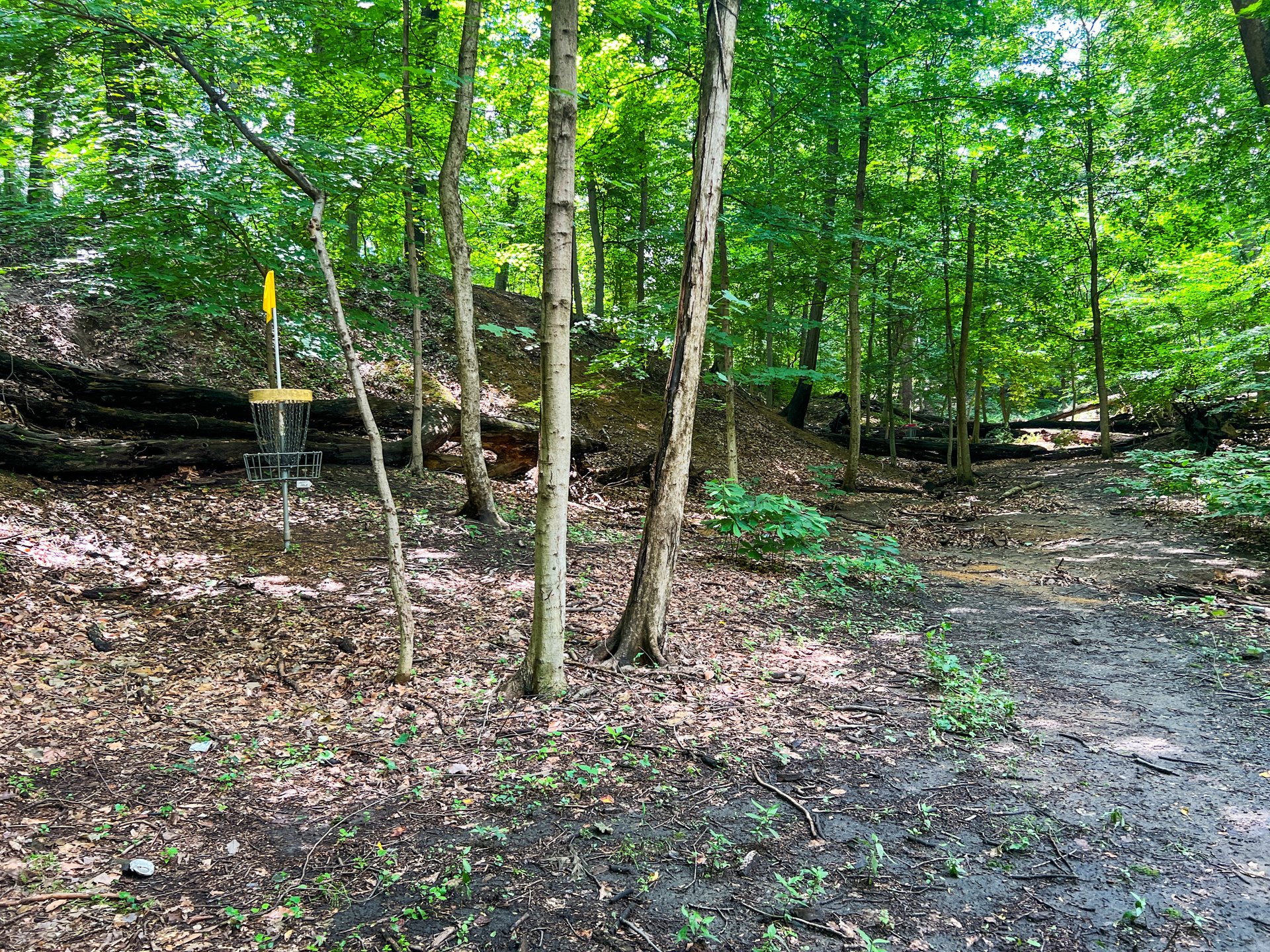 Hole 13's Yellow basket is 347, Par 3, and on the right side. Hole 13's Pink basket is Par 4, 401 ft. and is back on the right side. 