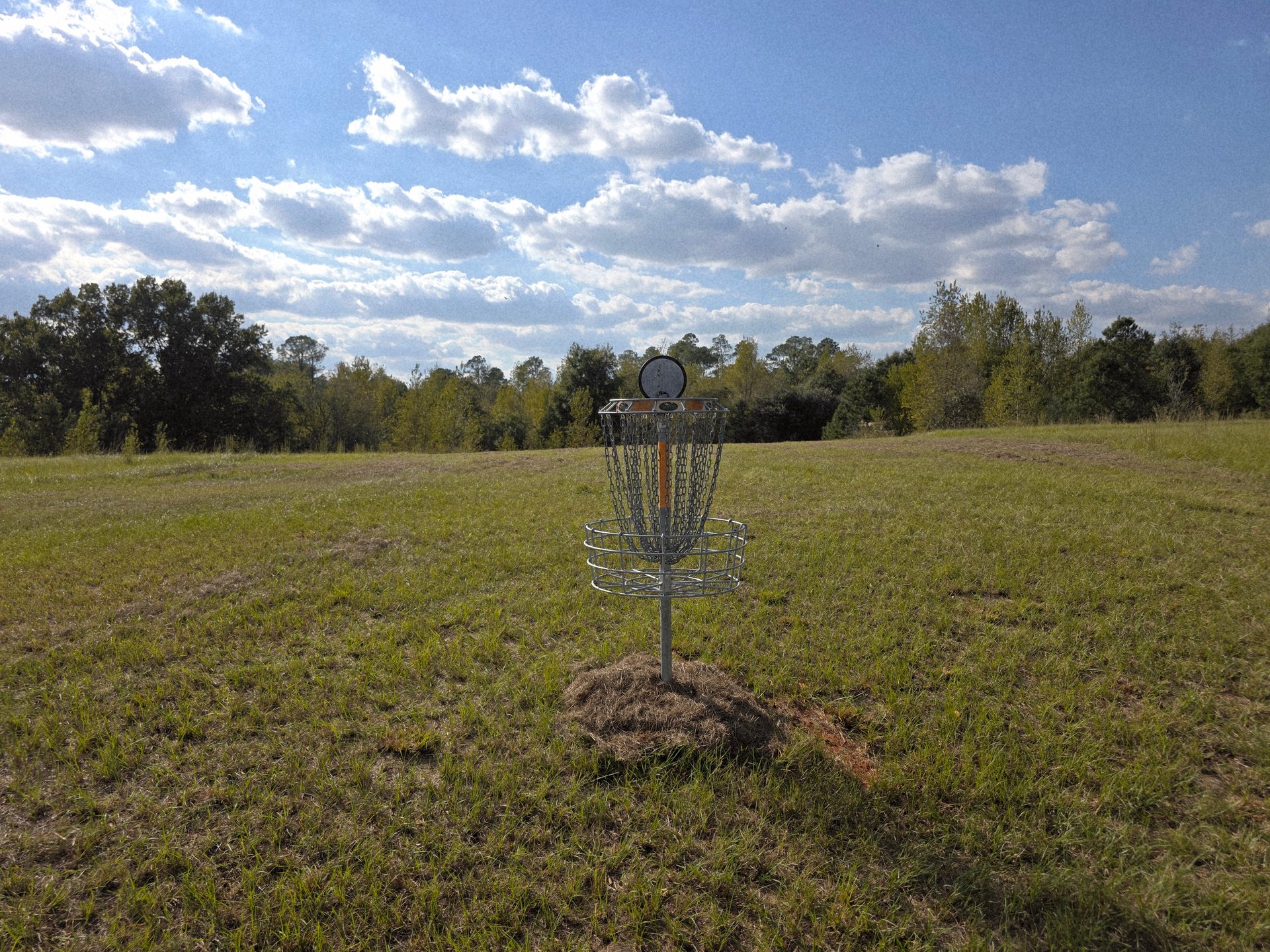 The view back toward the fairway from the basket on hole 12. The hill gives a blind approach.