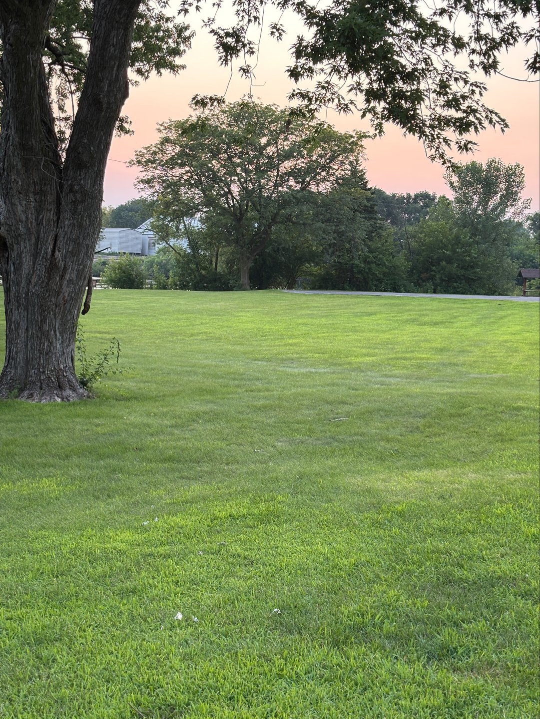 #8 Fairway