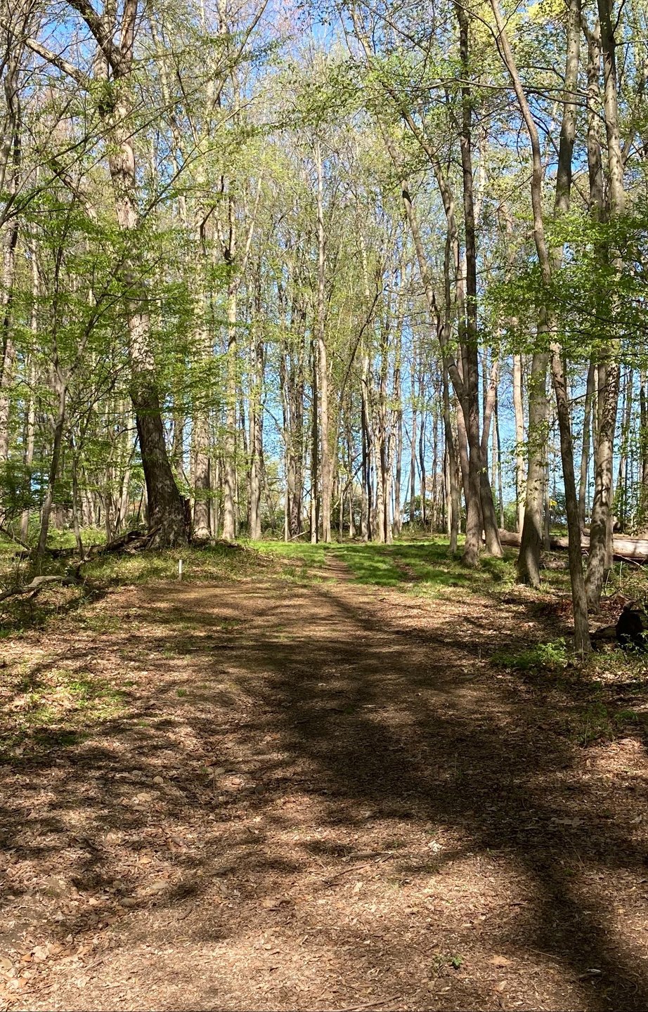 View from Hole 12 blue tee