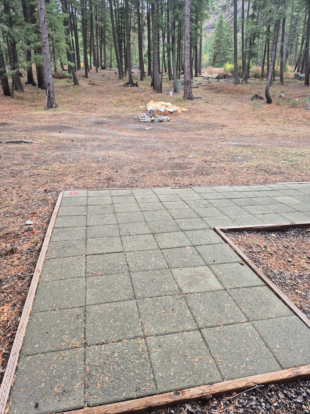 Hole 15 Tee