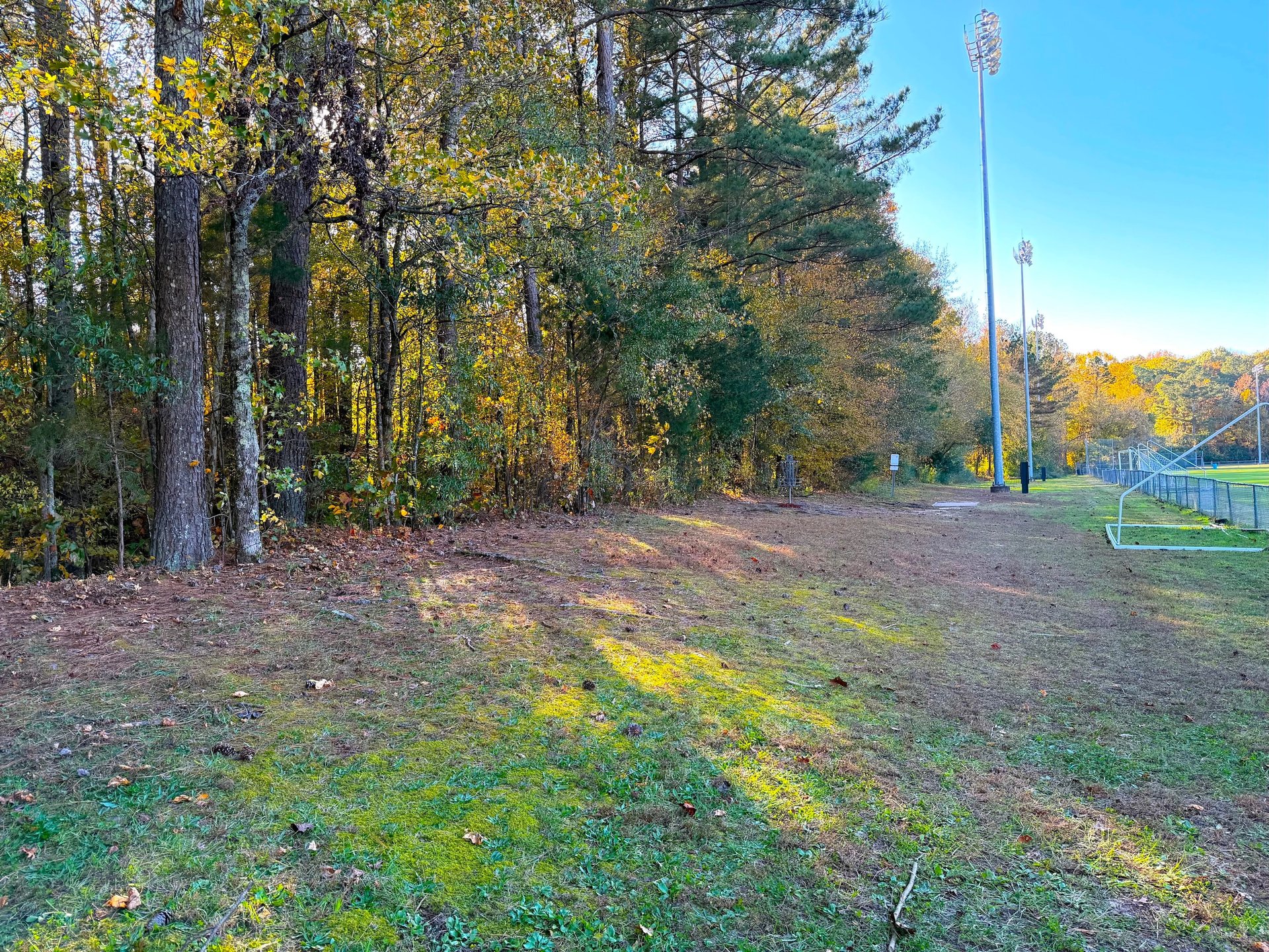 Hole 1 Approaching the Basket