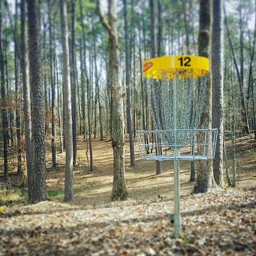 Whitetail - Hole 12