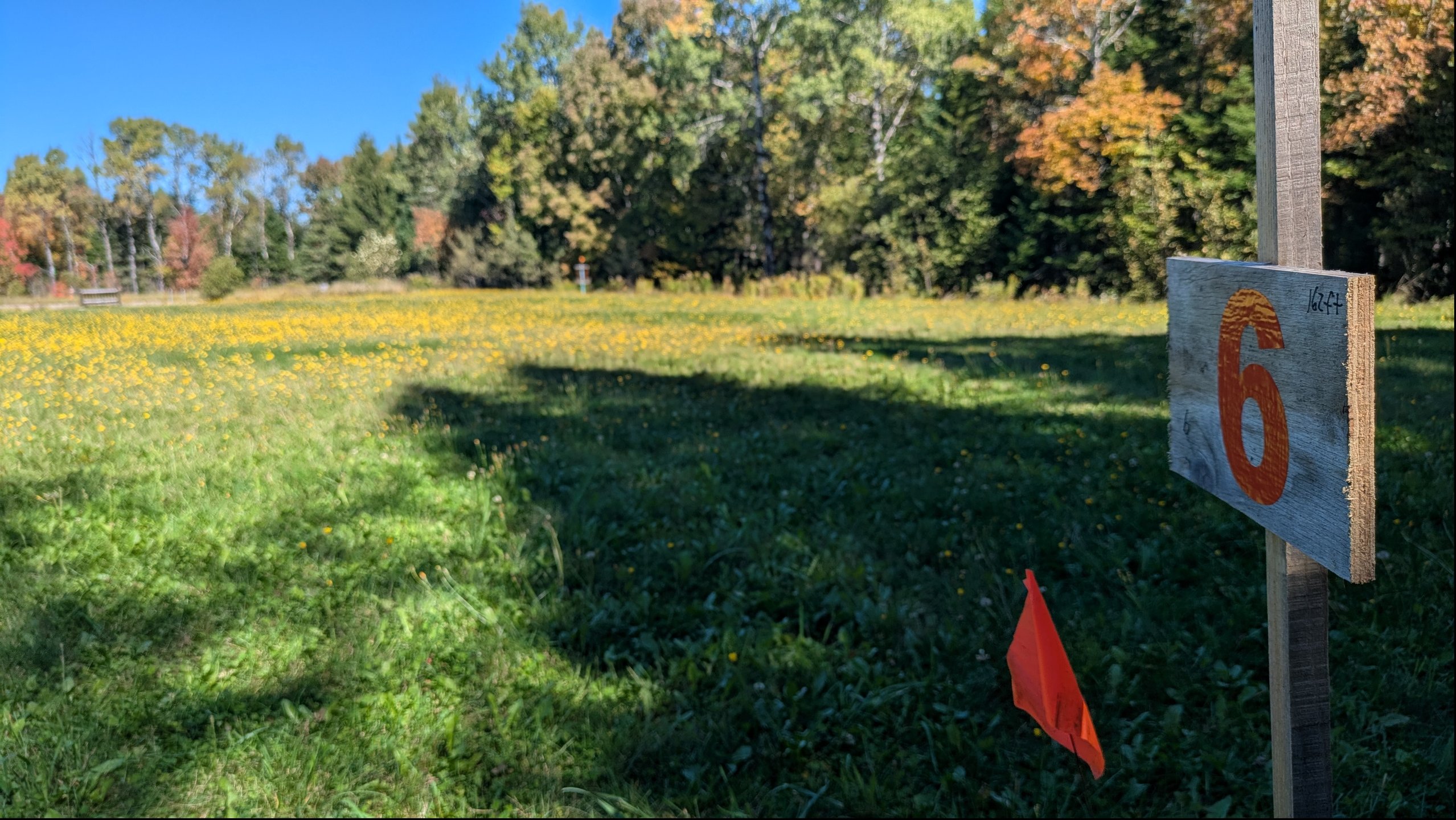 Hole 6 tee looking toward target