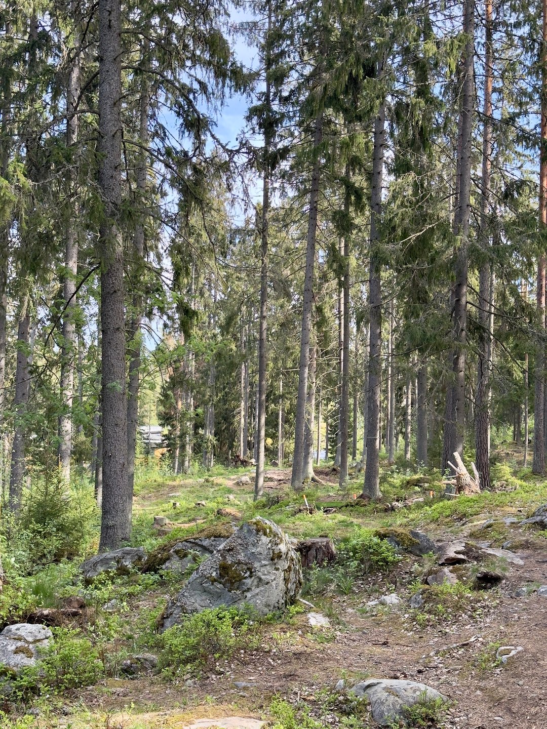 Väylä 11 korilta