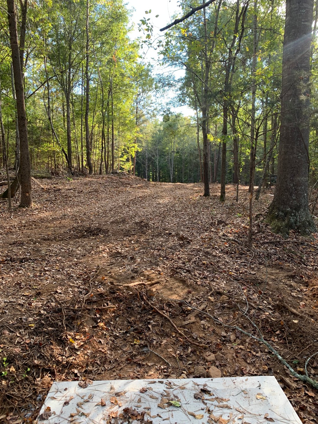 Hole 6 - Gold Tee (under construction)