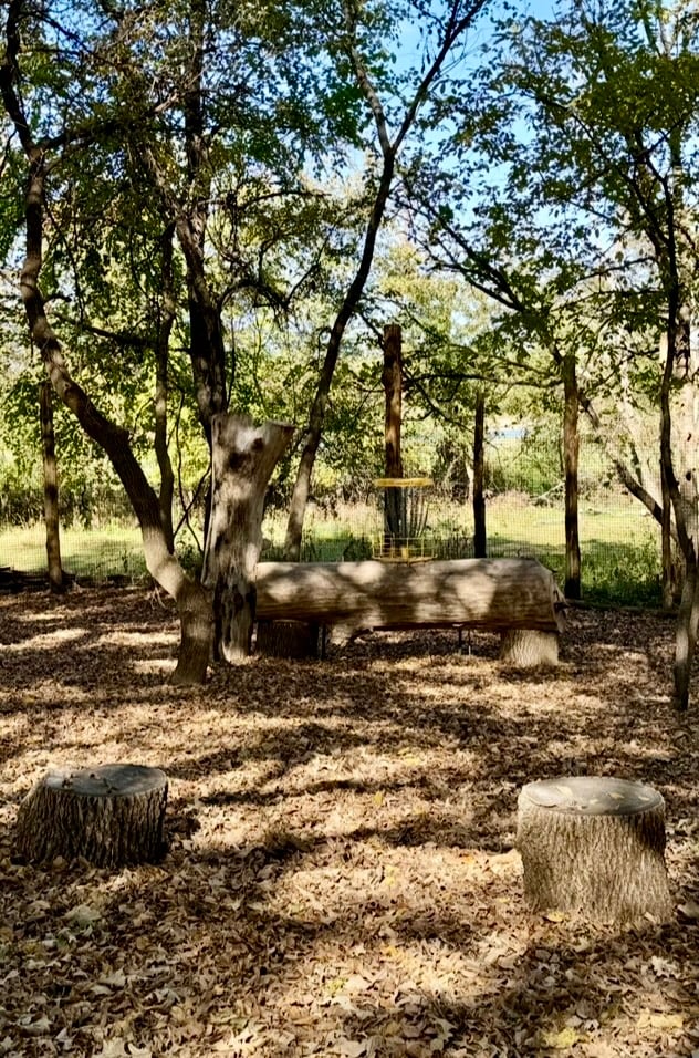 Hole 1 - Green: pin on log, ideal landing is straight or behind. Do NOT want left side as guarded by log. 