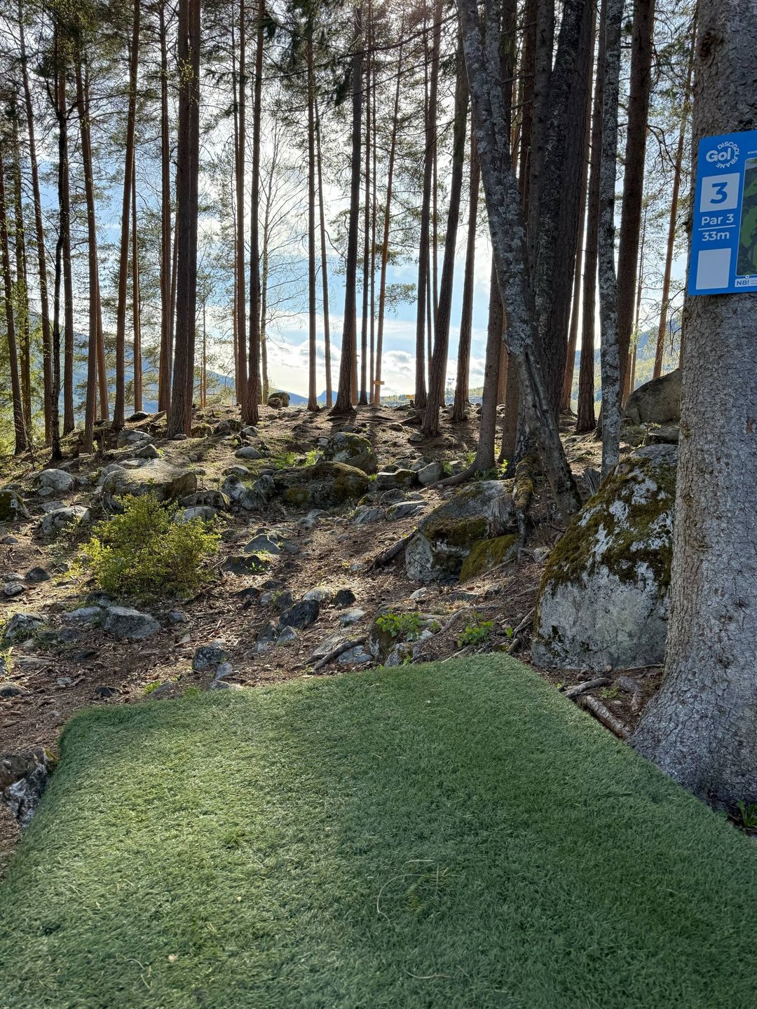 Blått utkast