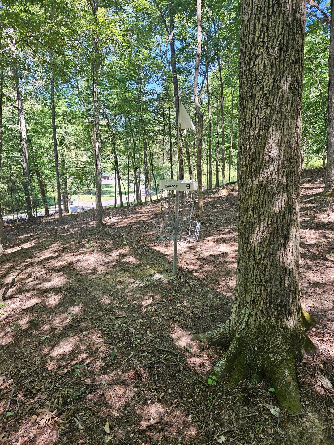 Behind Long Basket, Looking back up fairway.
