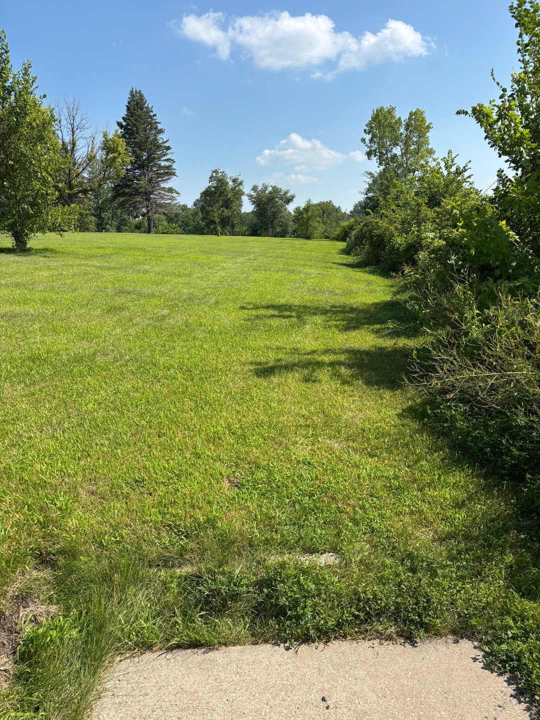 #16 Fairway
