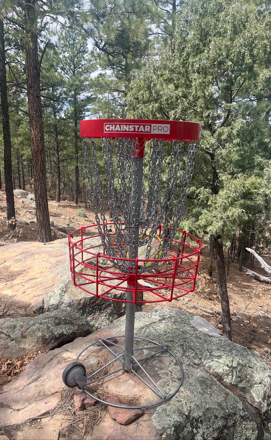 Hole 7 Basket