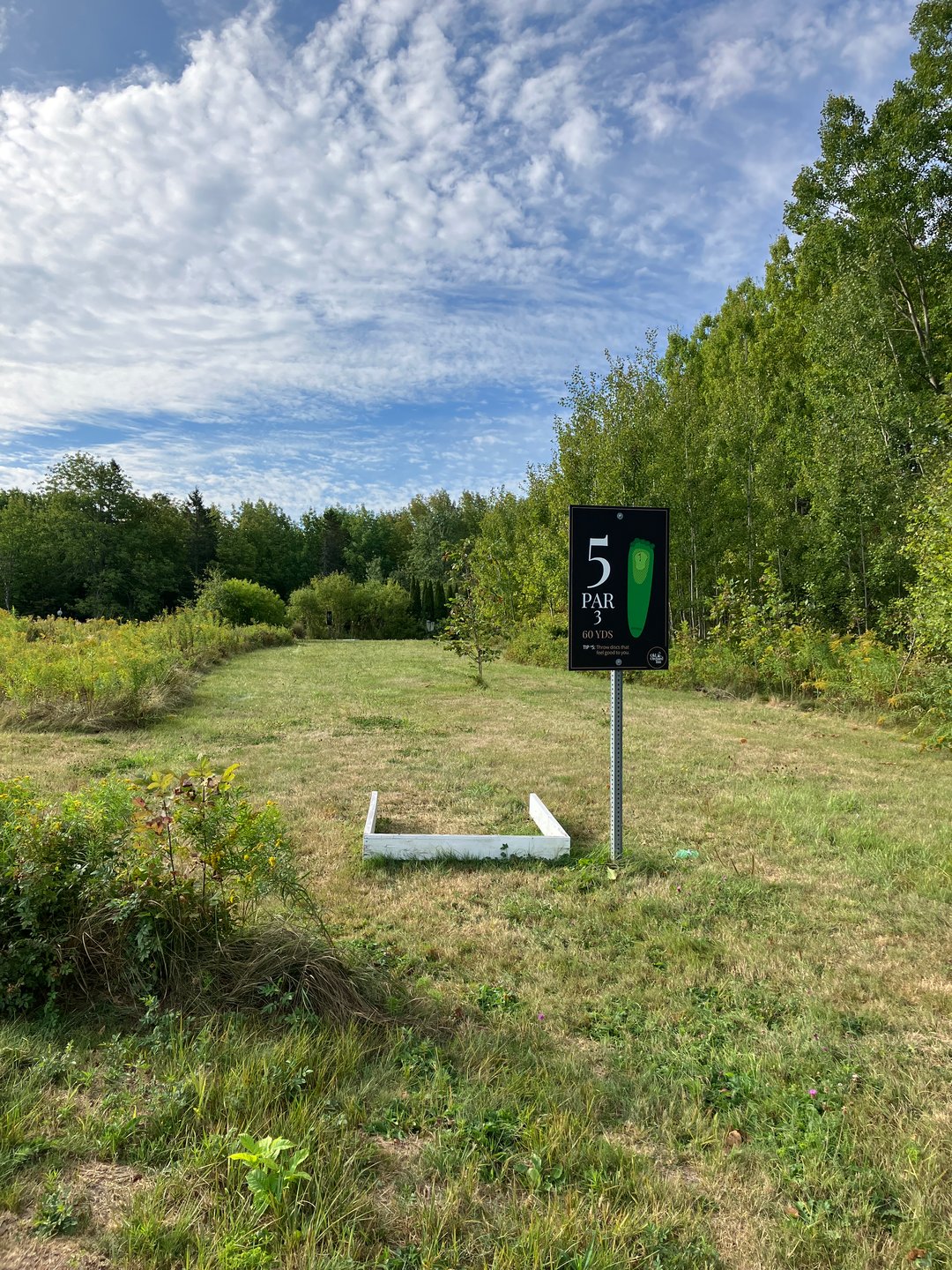 Hole 5 tee