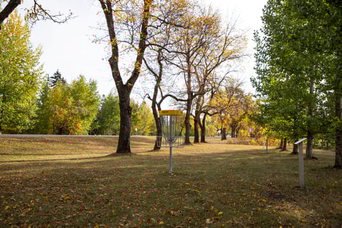 Hole 5's basket