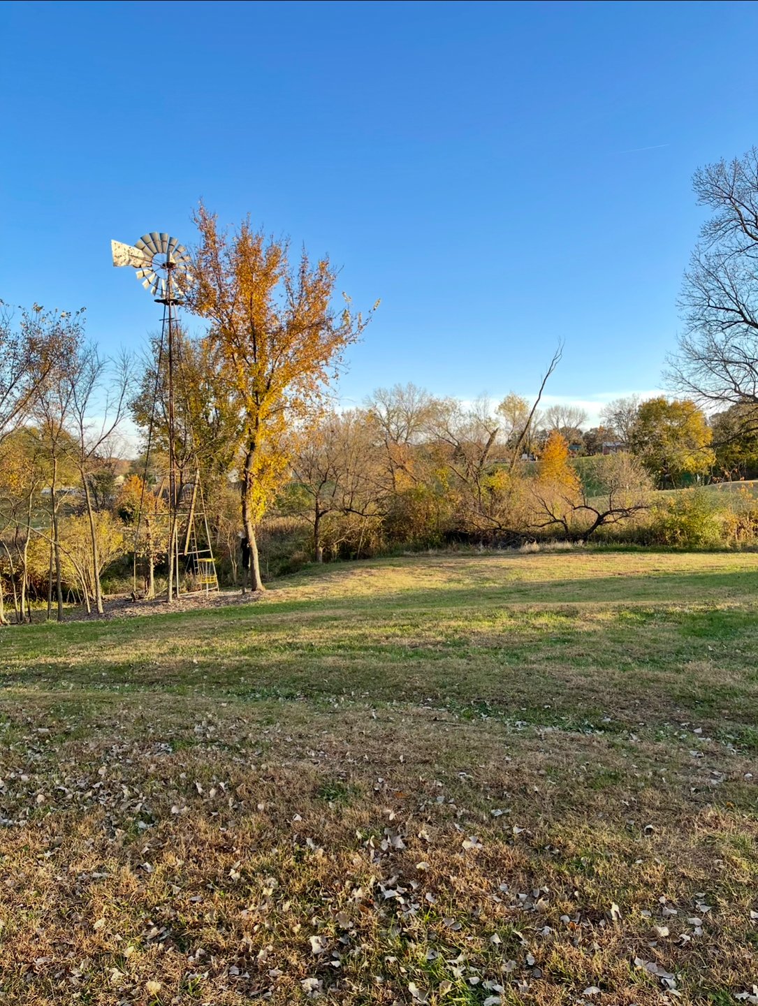 Hole 17 - “Windmill” Green. Left and right routes. Guardian trees in middle. 