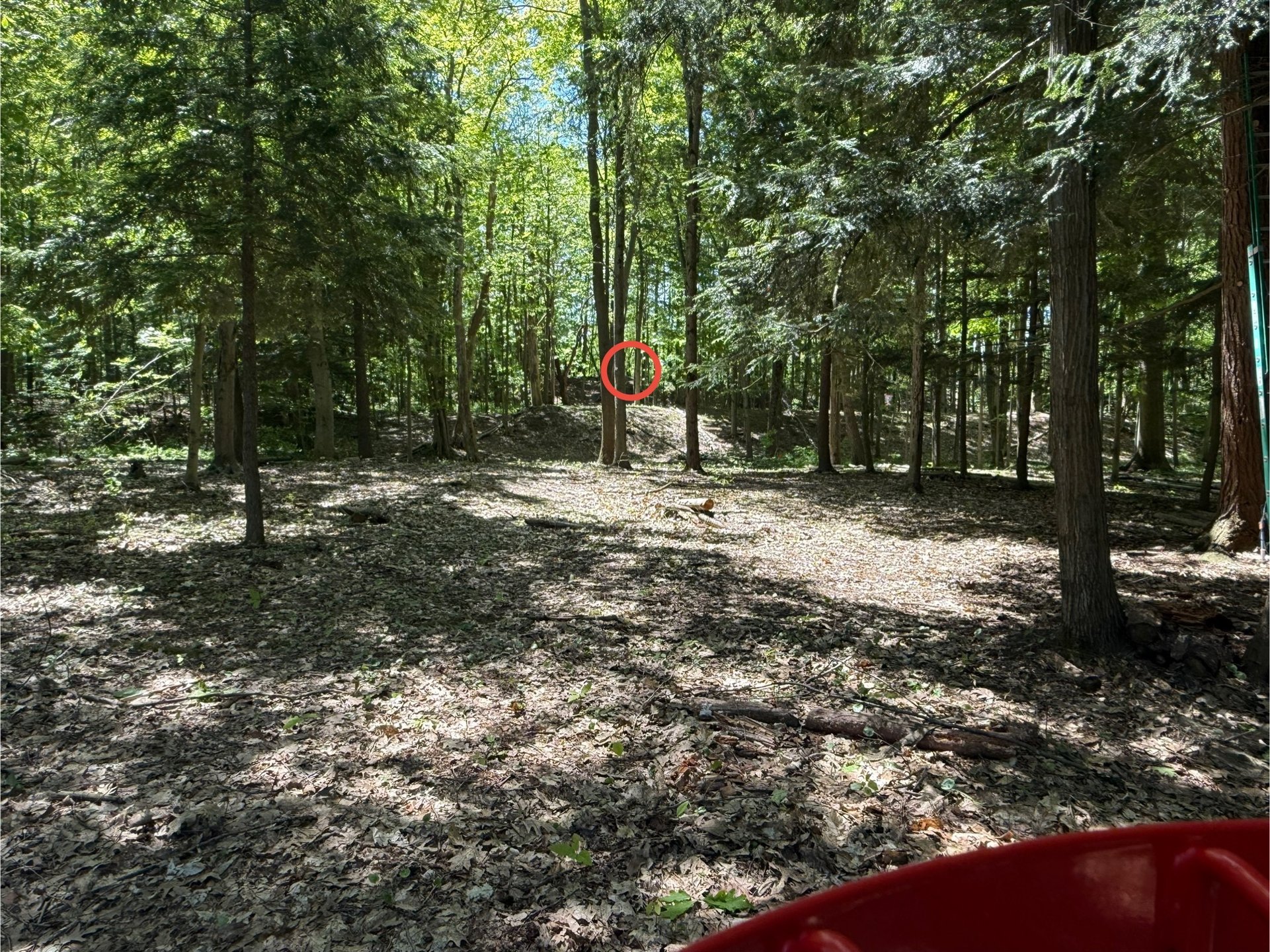 Hole 4 Basket to Tee