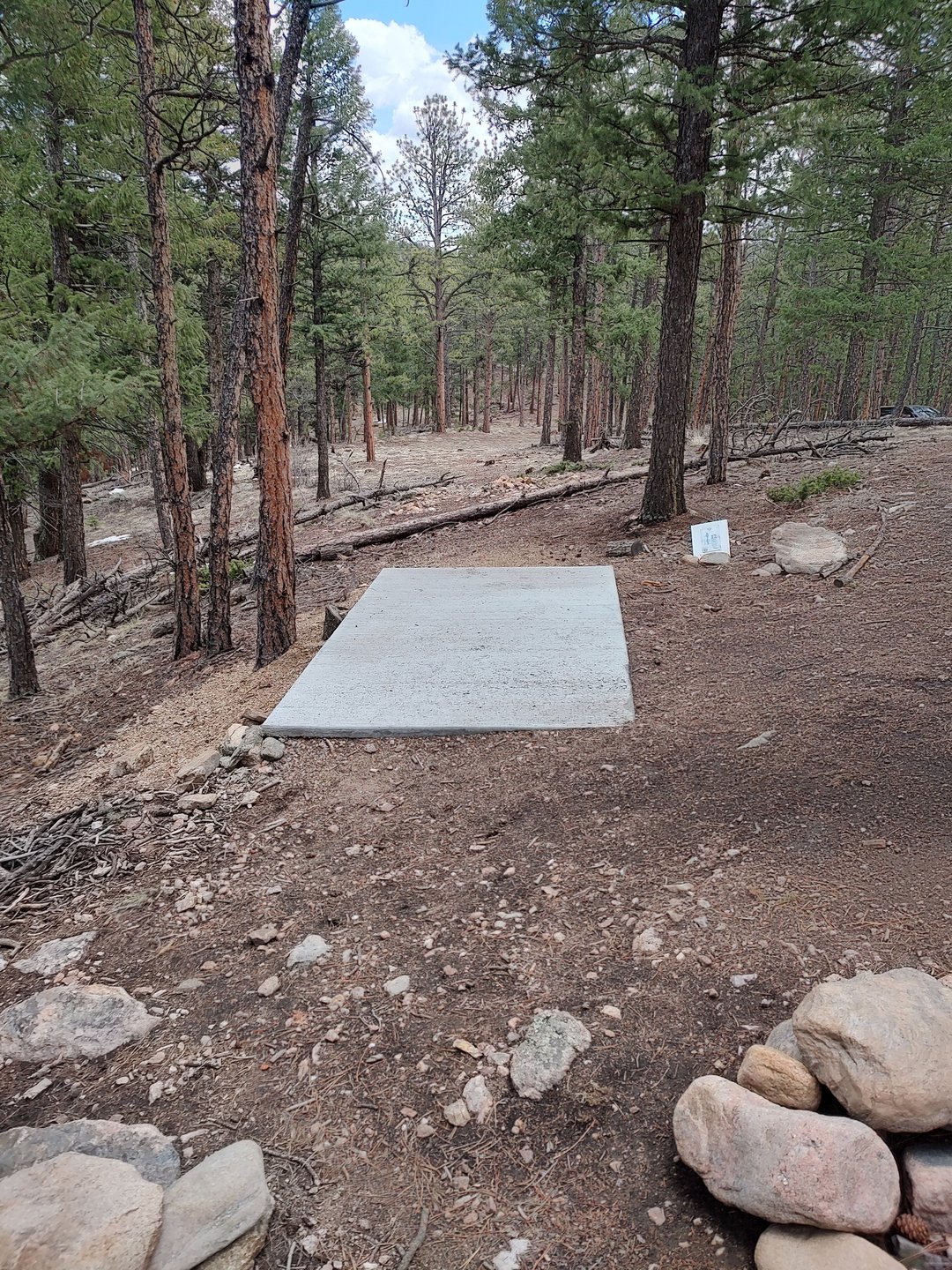 Hole 12 tee