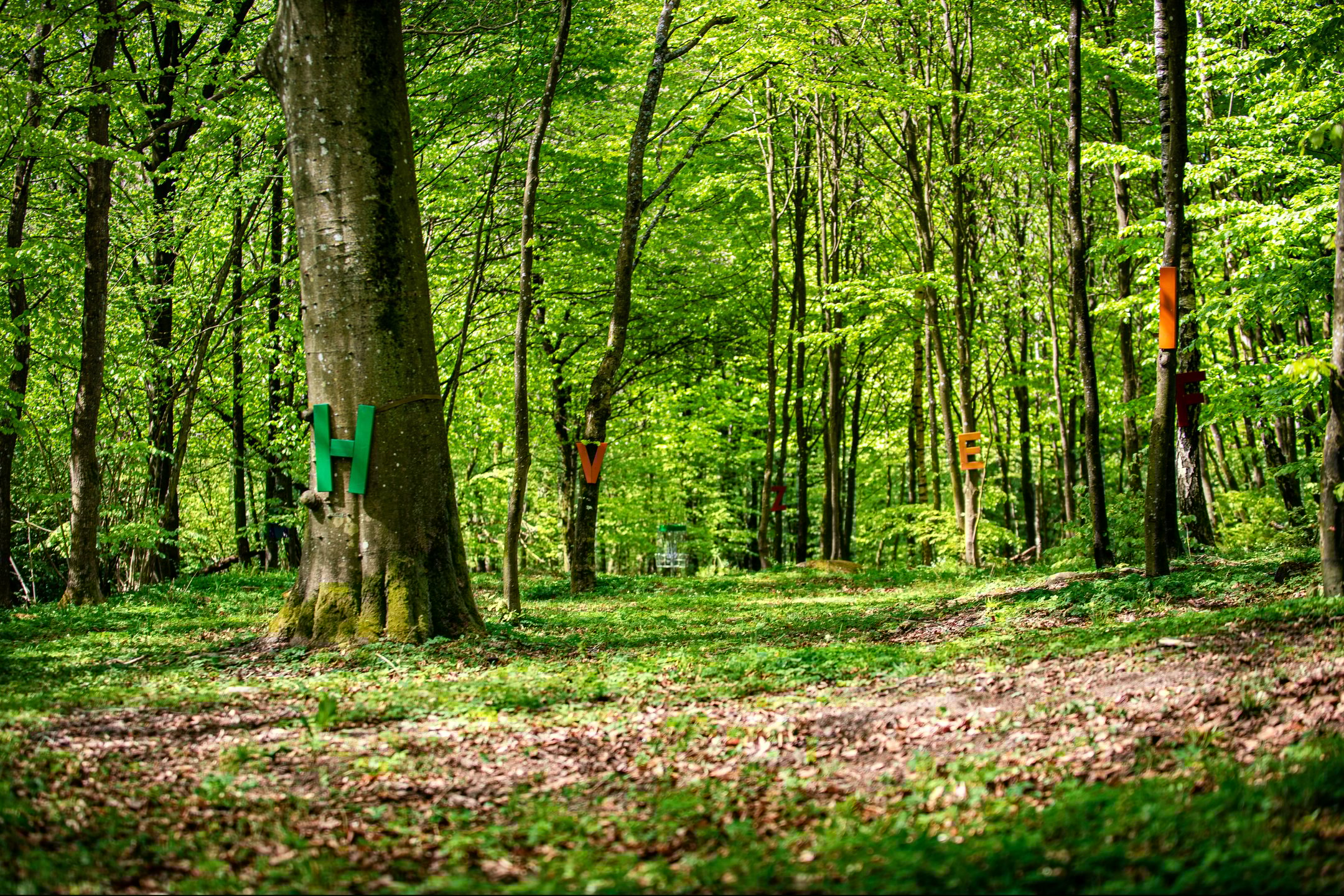 View from tee with "Activity signs" on hole 3, "Alfebetsdjungeln" (The Alphabet Jungle)