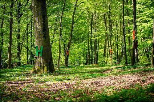 View from tee with "Activity signs" on hole 3, "Alfebetsdjungeln" (The Alphabet Jungle)