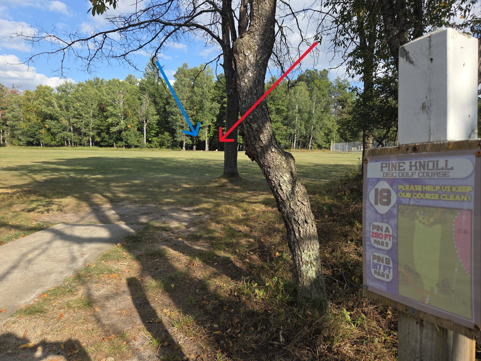 # 18 White tee Red & Blue baskets