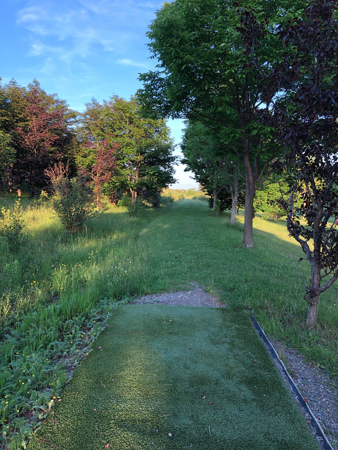Hole 7 from red tee