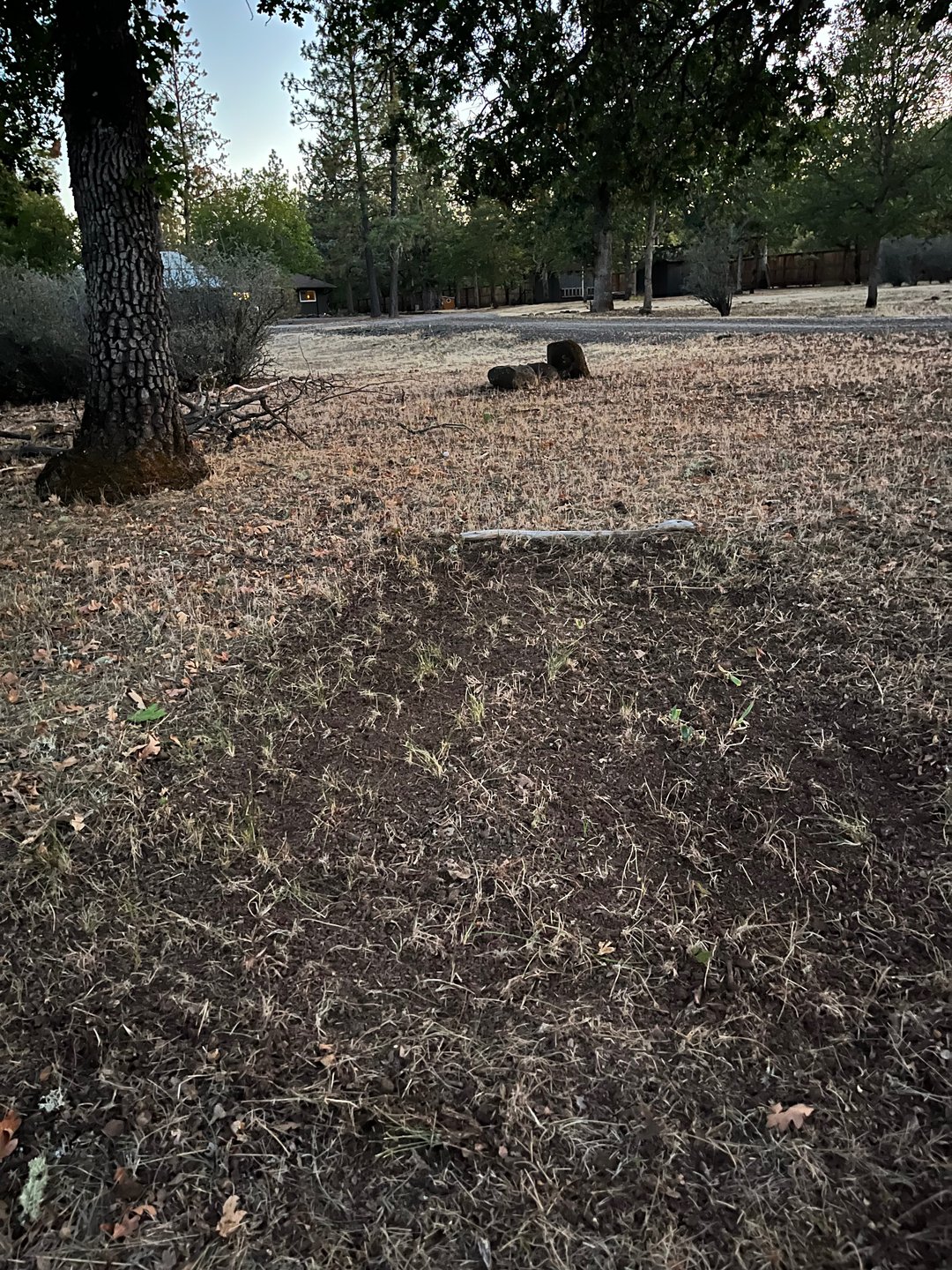 Corner Tee for the 9 Hole Minimum Layout