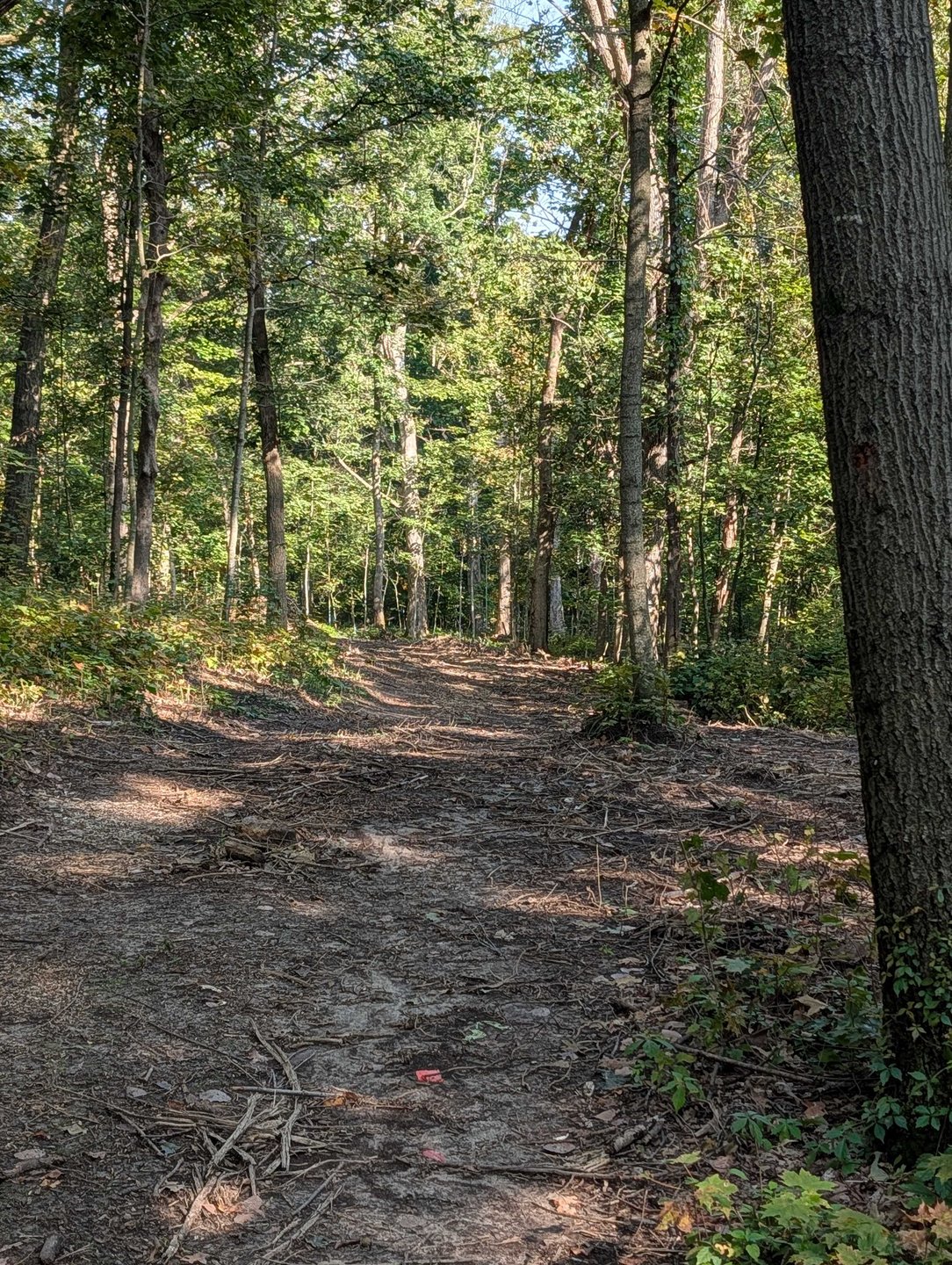 Hole 14 - Continued fairway around first bend - short straight shot that pushes to the right