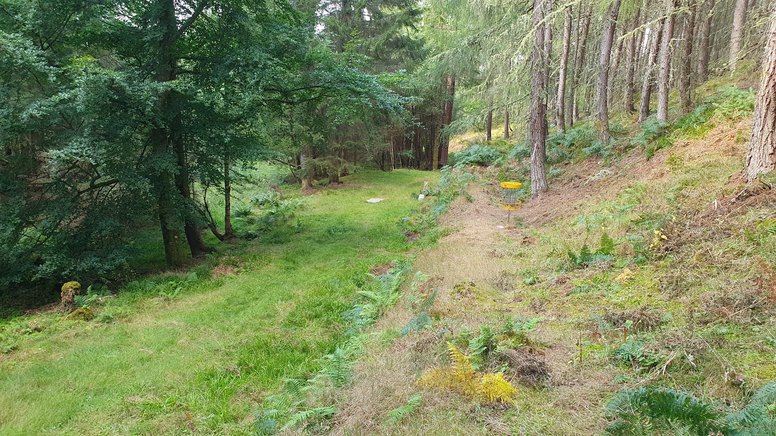 Hole #11 - Ace Outback