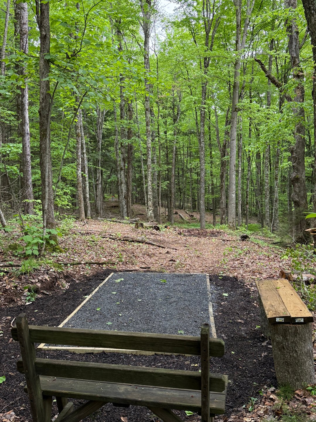 Five line choices to Dandelion Hole 6.  Can you ace the straight tunnel shot?
