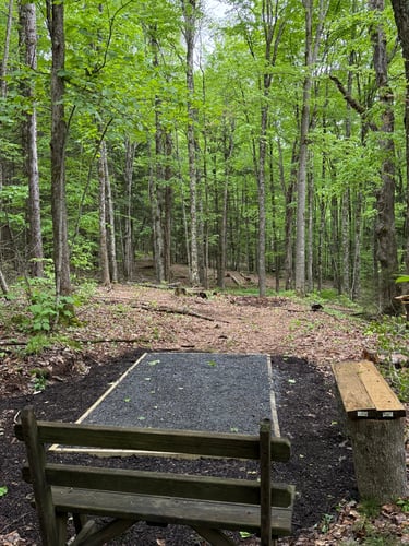 Five line choices to Dandelion Hole 6.  Can you ace the straight tunnel shot?