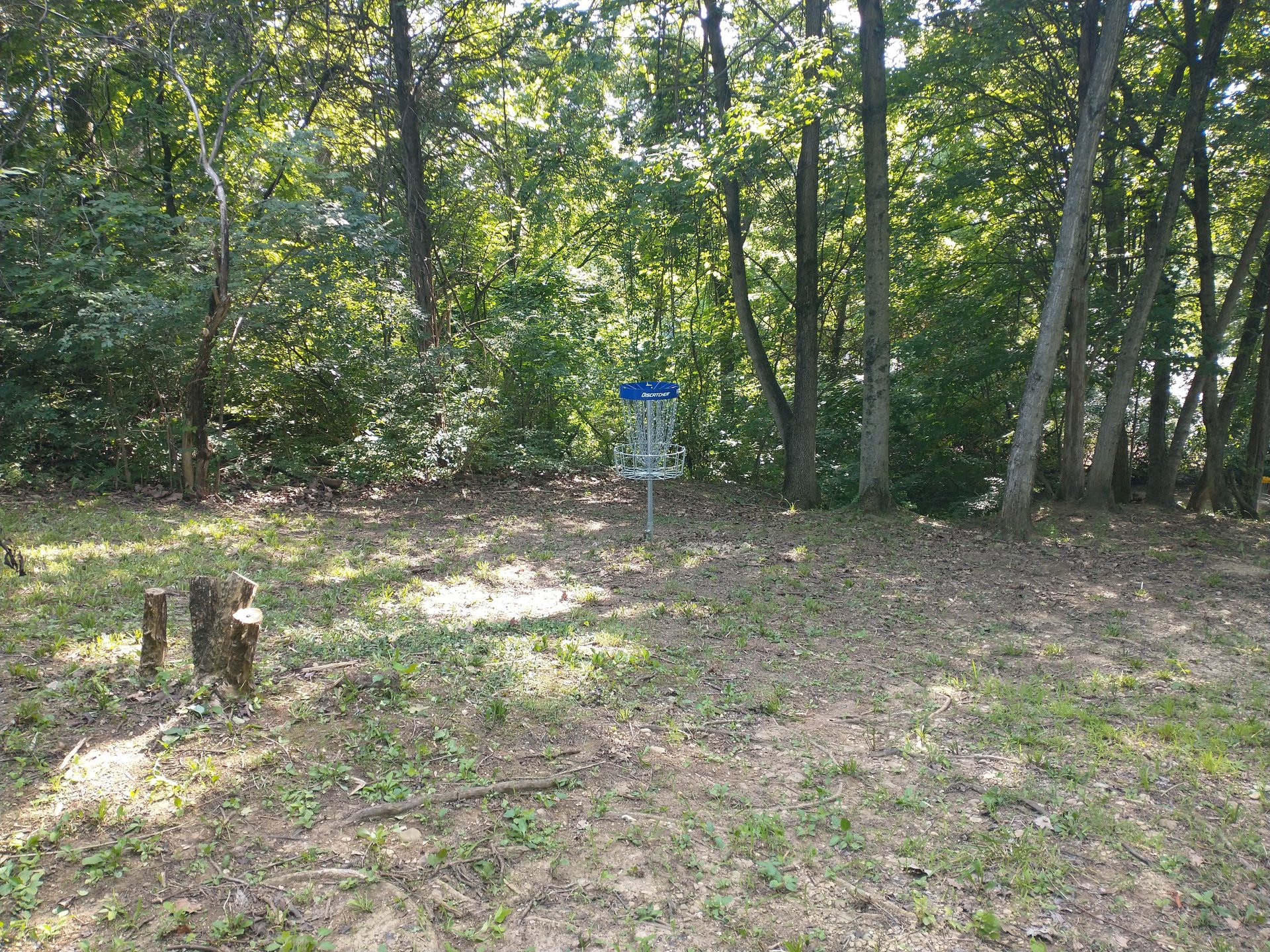 12 Blue Basket