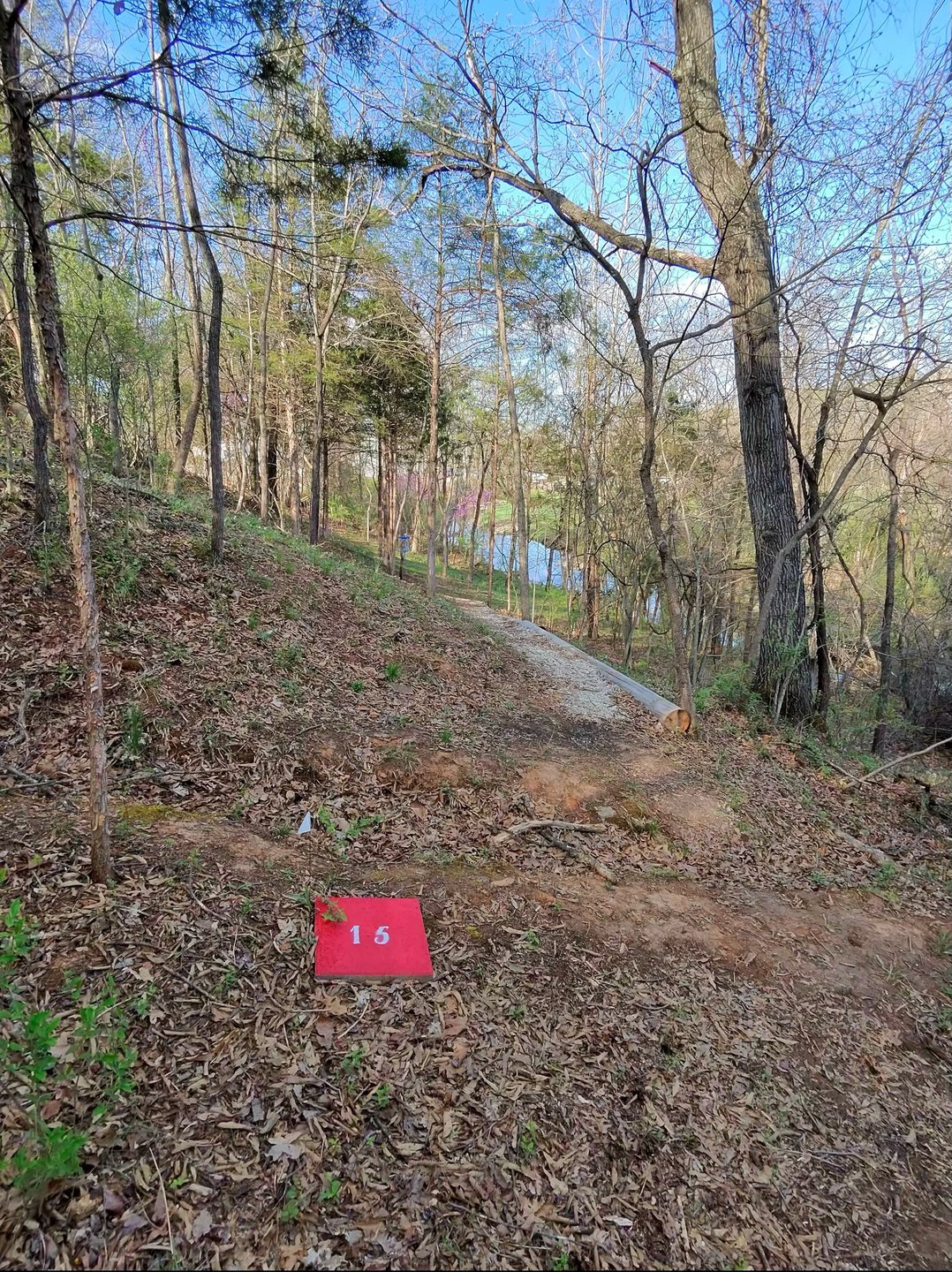 Hole 15 Red