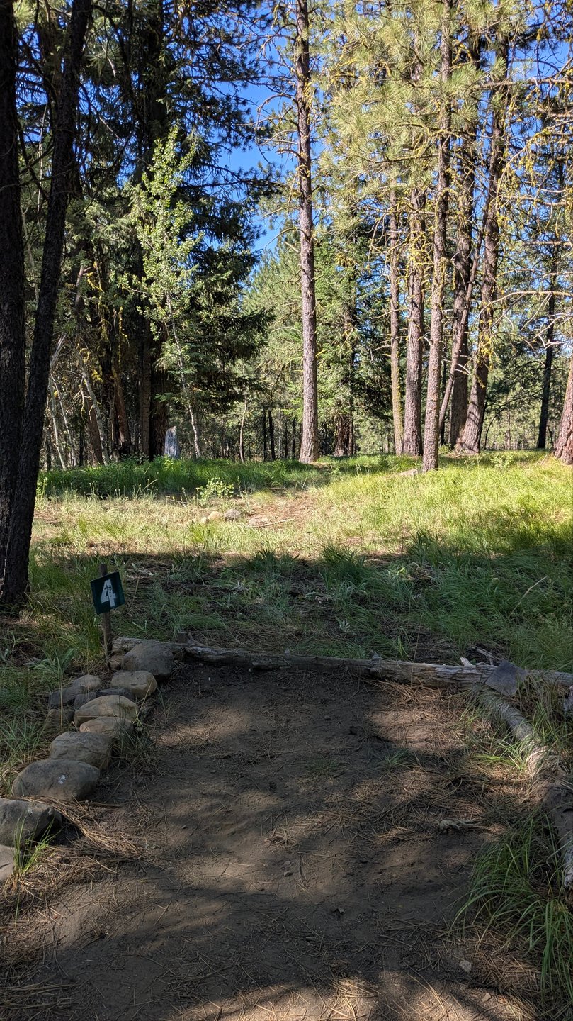 Tee pad #4