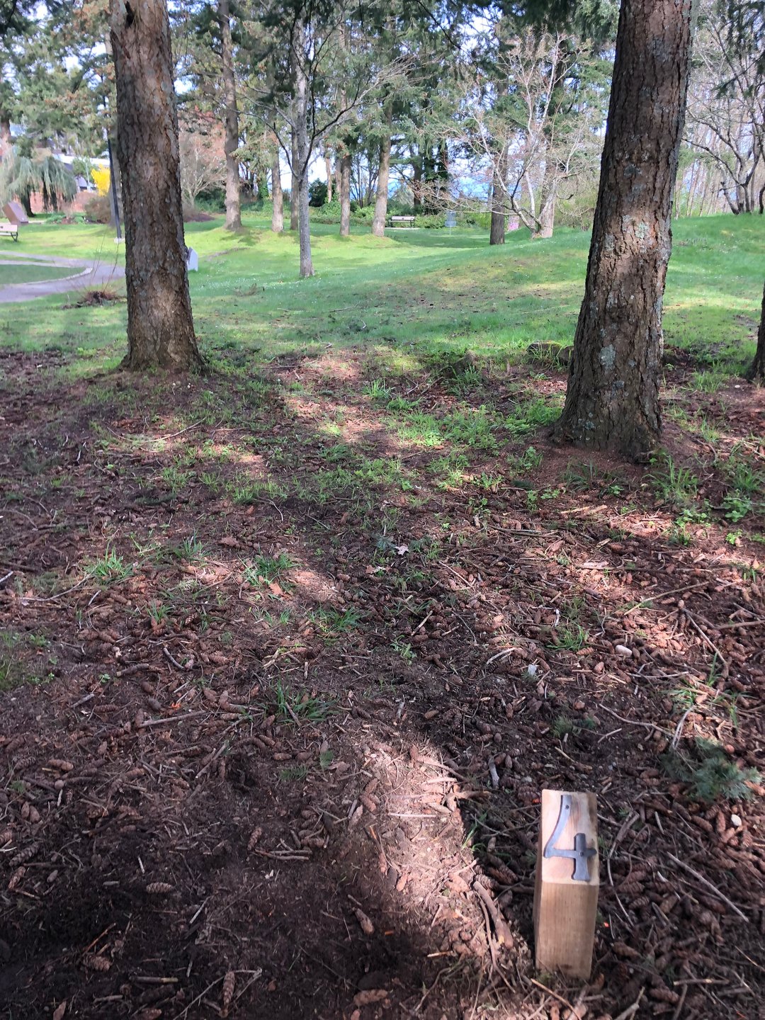 Tee 4. 