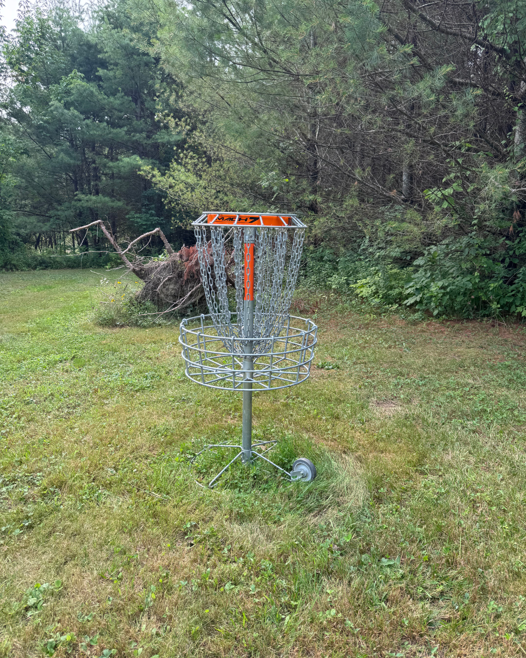 Hole 14 basket