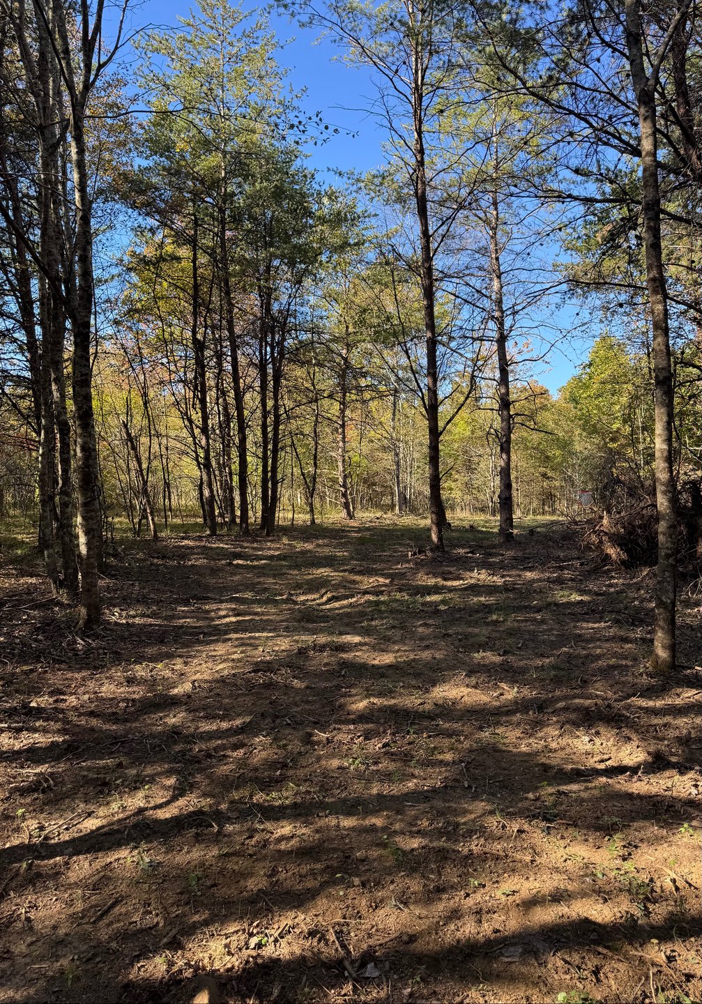 #6 fairway basket on the right