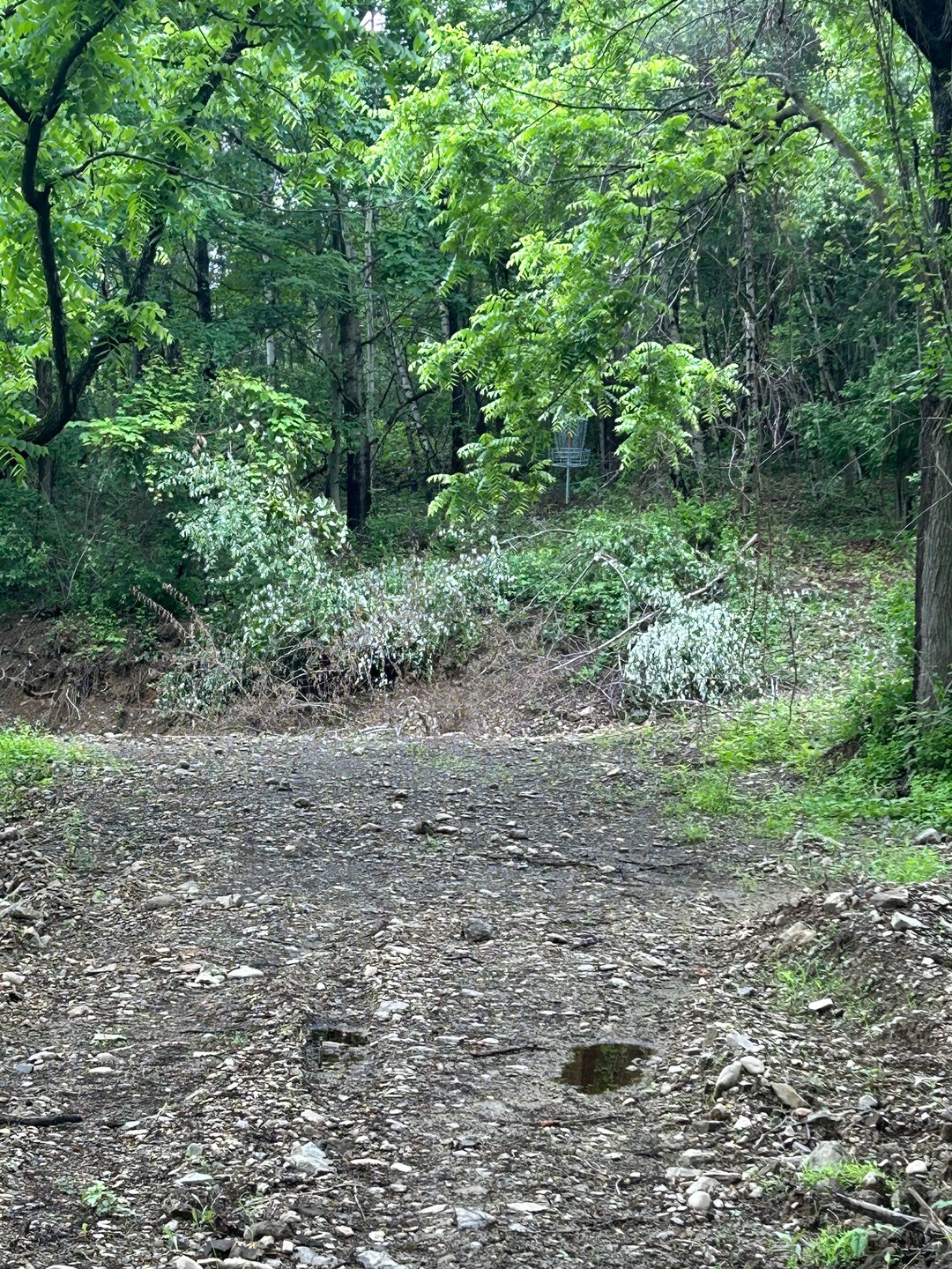 Hole 4 tee pad weekend 
Hole 7 tee pad weekday 