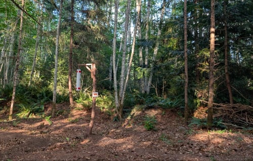 New Hole 6, July-2025