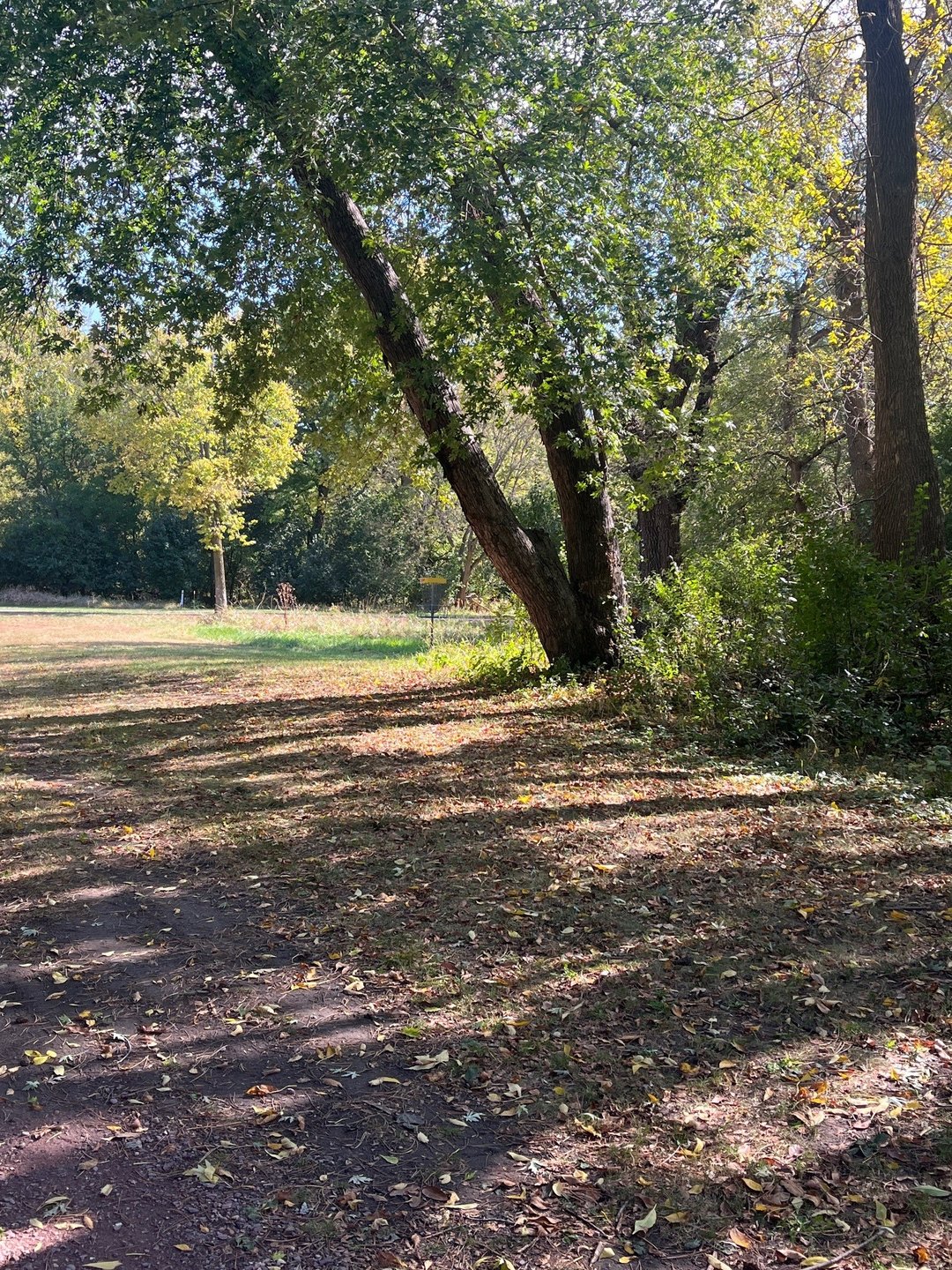 15 Approach