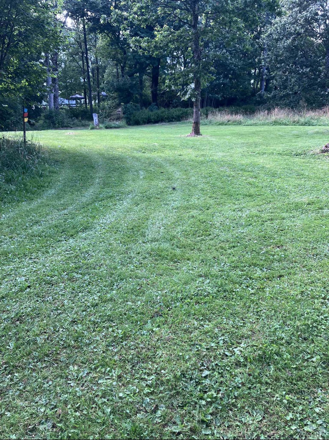 Fairway hole 1