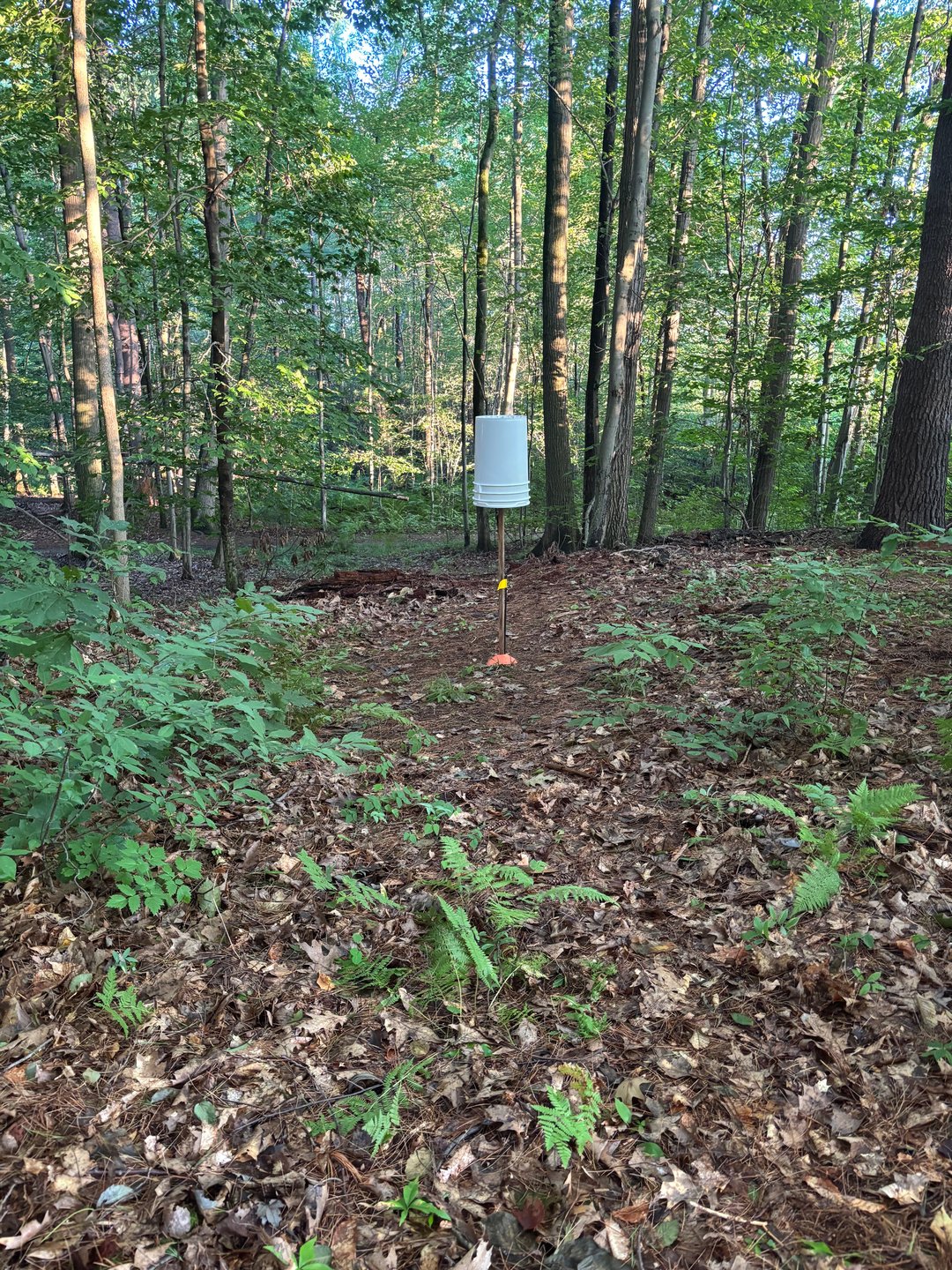 First/tenth hole bucket
