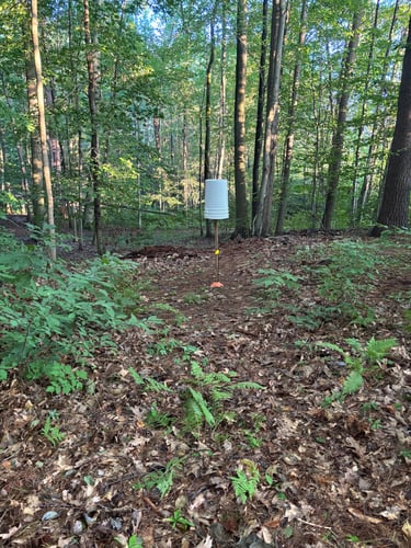 First/tenth hole bucket
