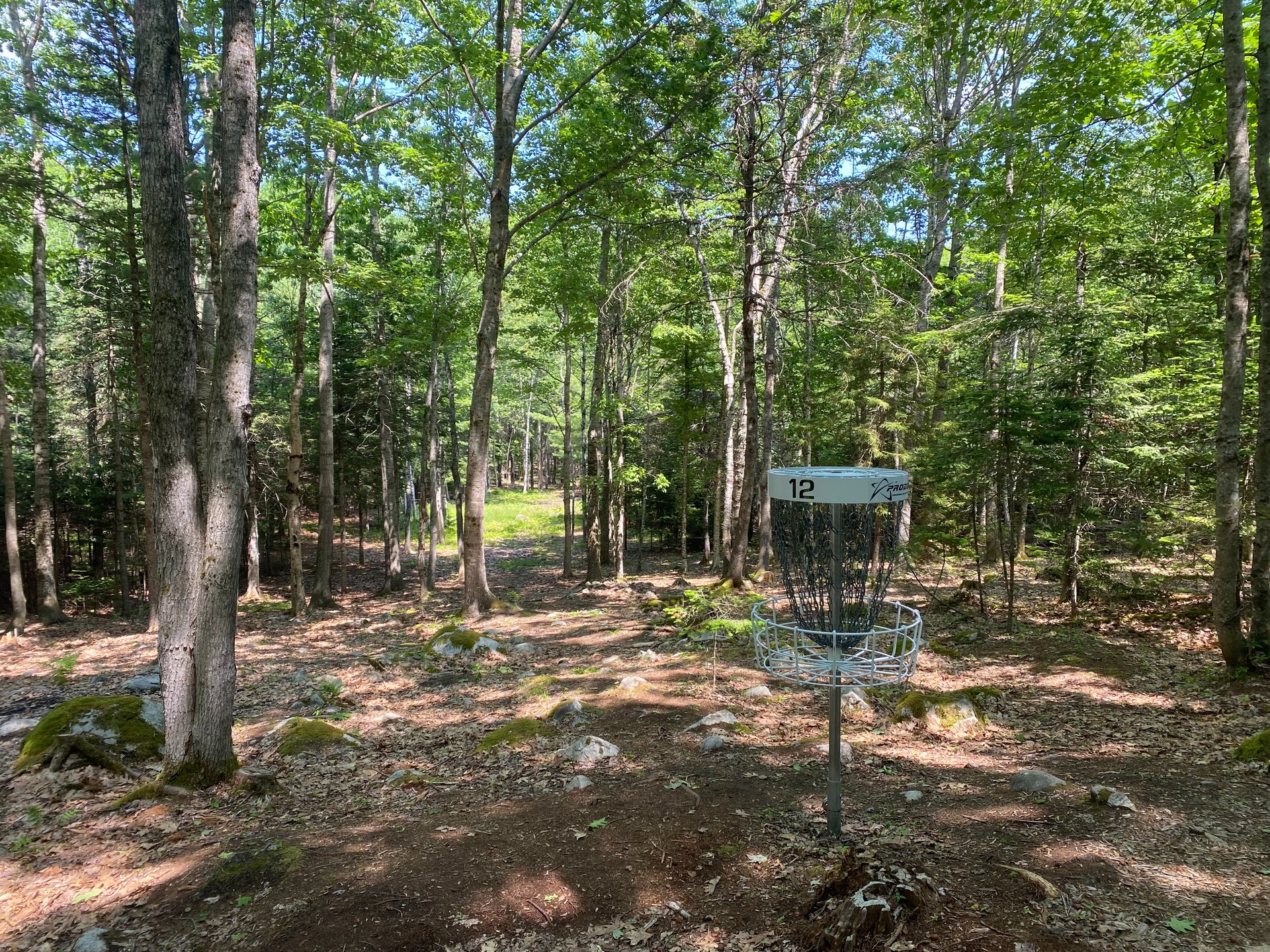 Looking back down fairway from behind basket #12