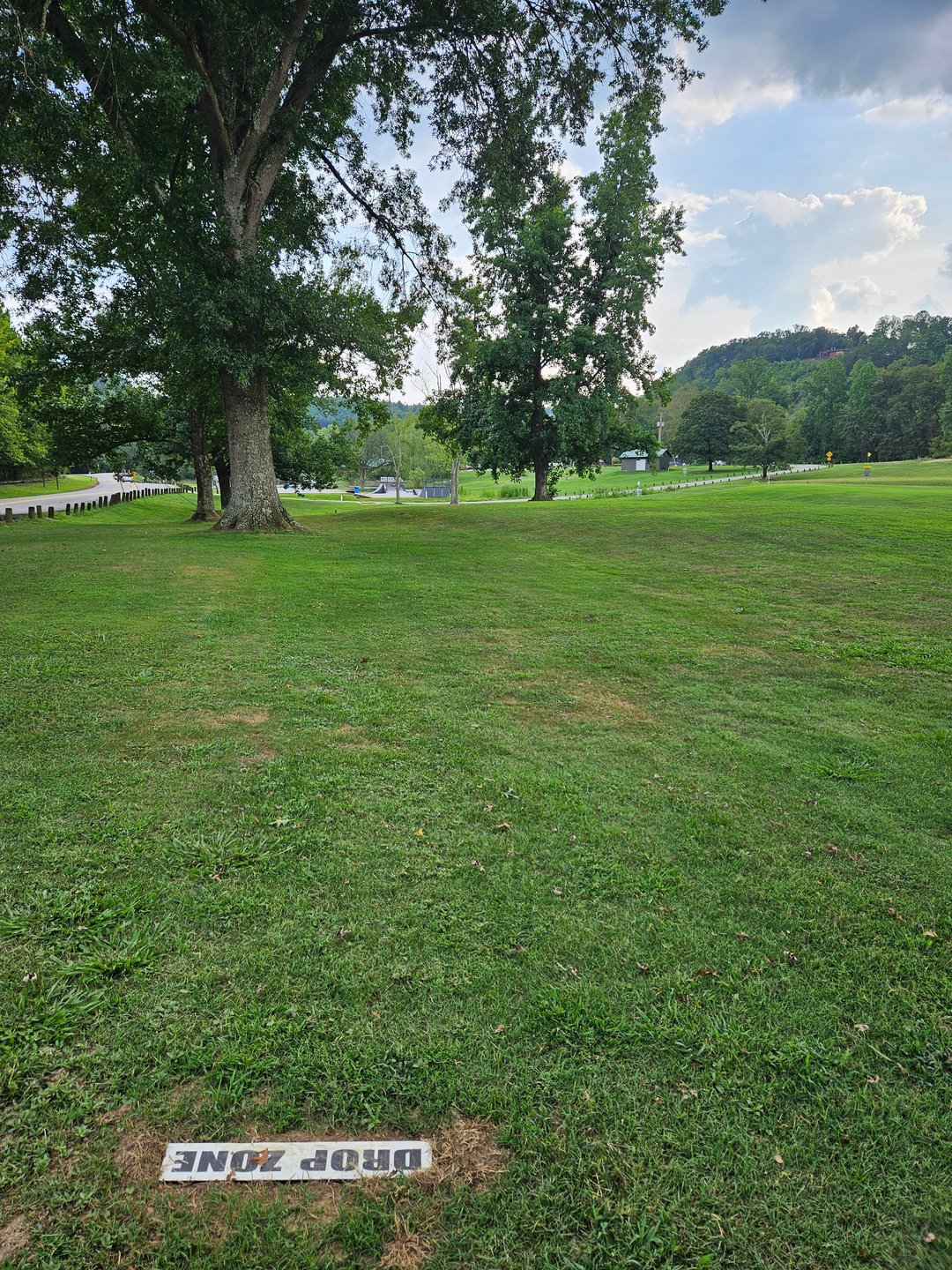 Drop Zone. Looking back up fairway.