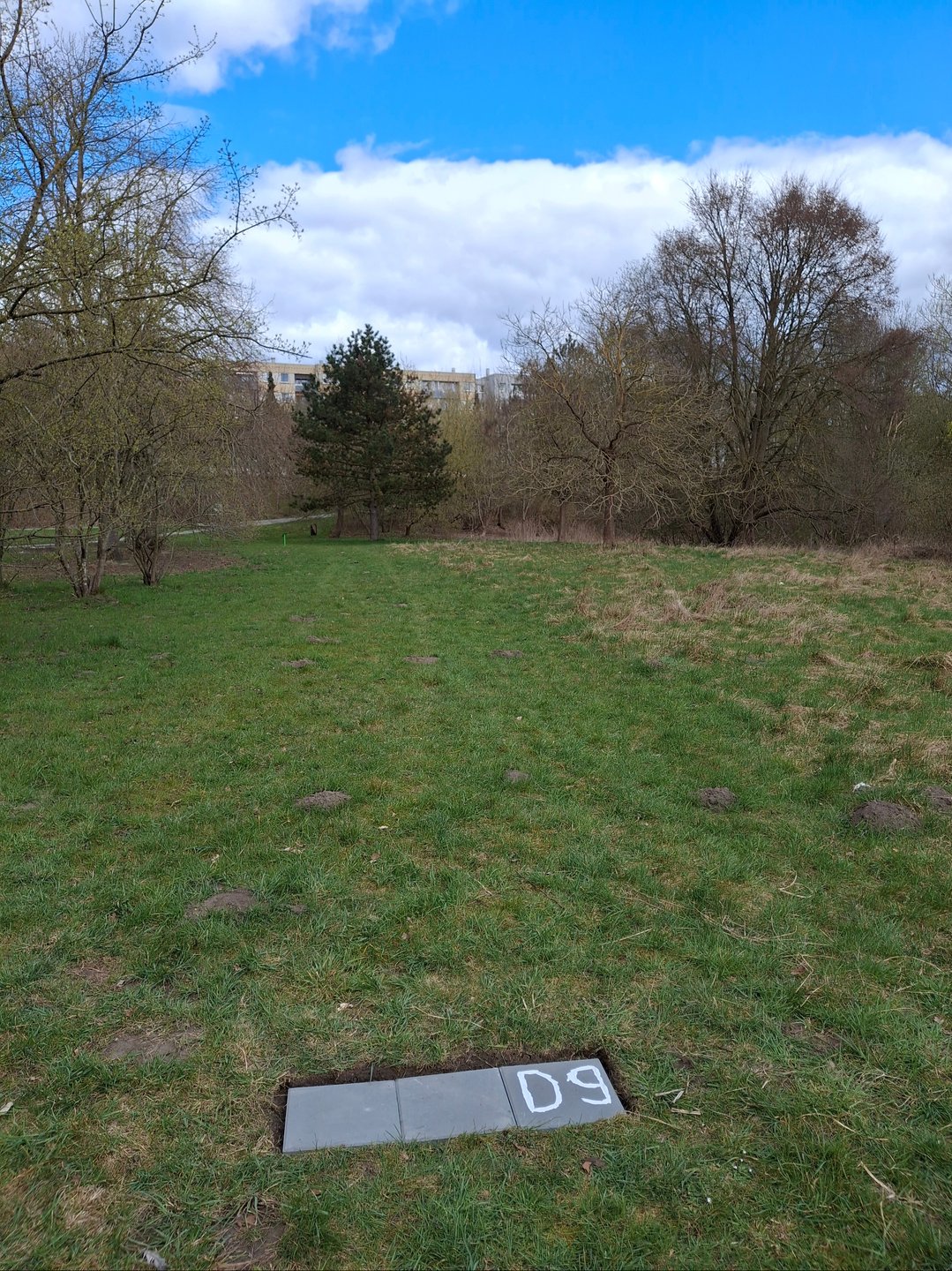 Tee D9