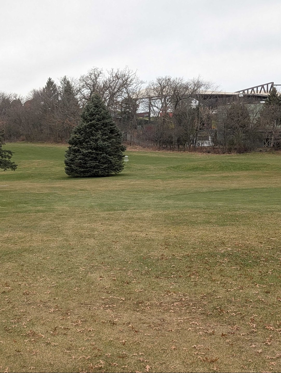 basket location just to the right of the long/short tee 