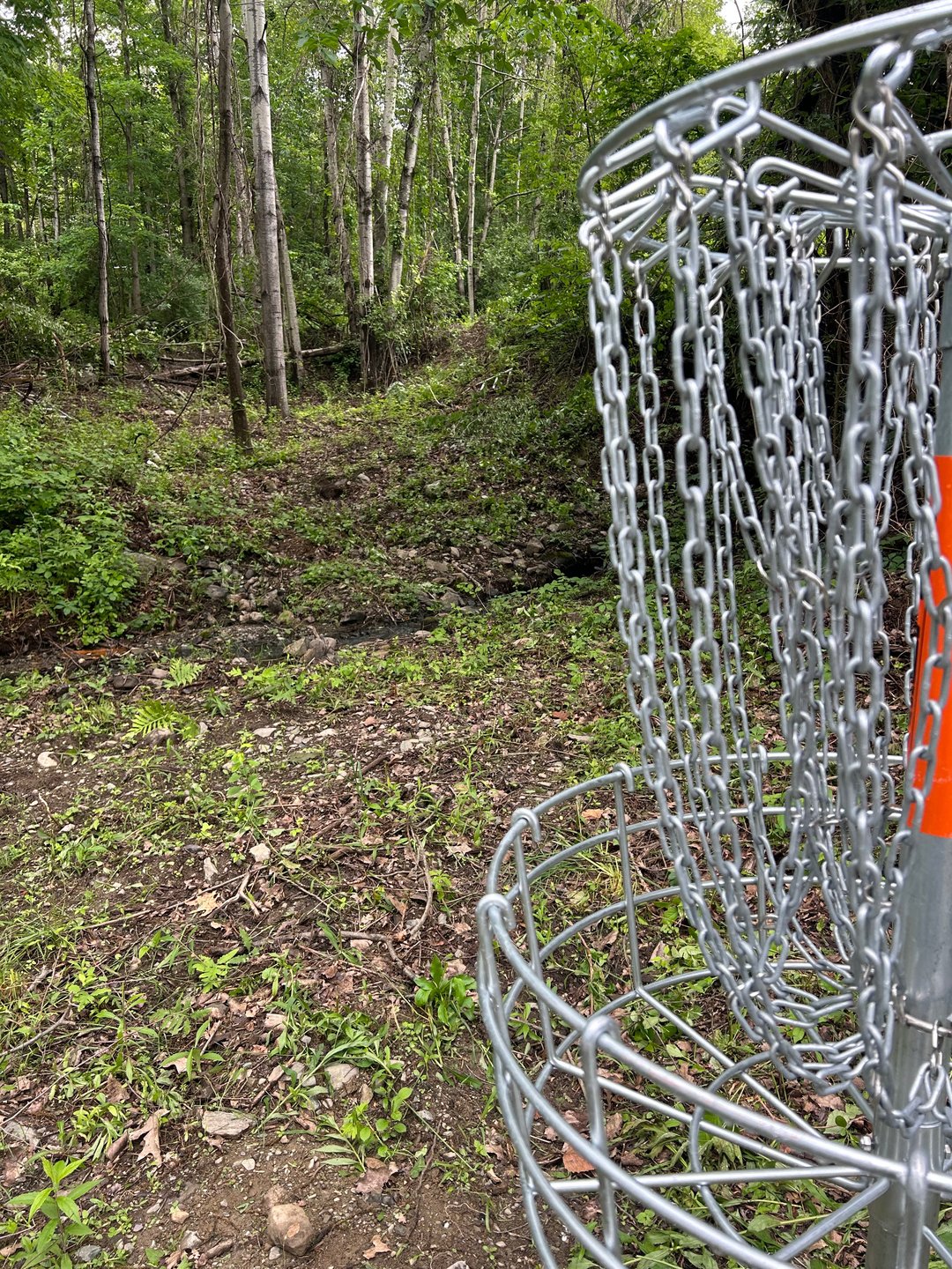 Hole 5 basket weekend layout 
Hole 8 basket weekday layout 